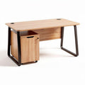 Wooden office desk with storage cabinet and metal frame 120 x 60 x 75cm